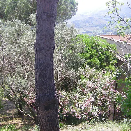 Aparthotel La Chiusa Di Rio Rio dellʼElba